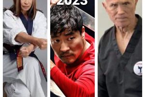 UK Martial Arts Show 2023